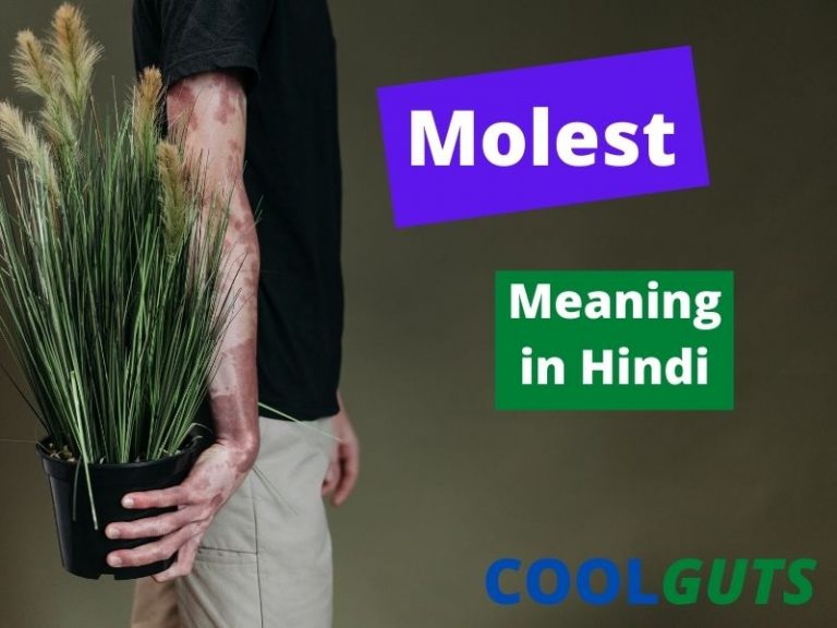 molest-meaning-in-hindi-learn-with-6-amazing-examples