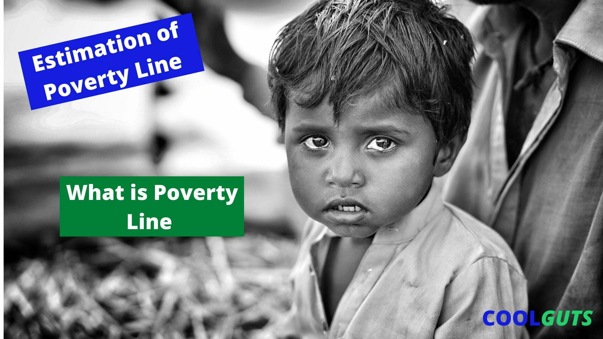 Describe How The Poverty Line Is Estimated In India