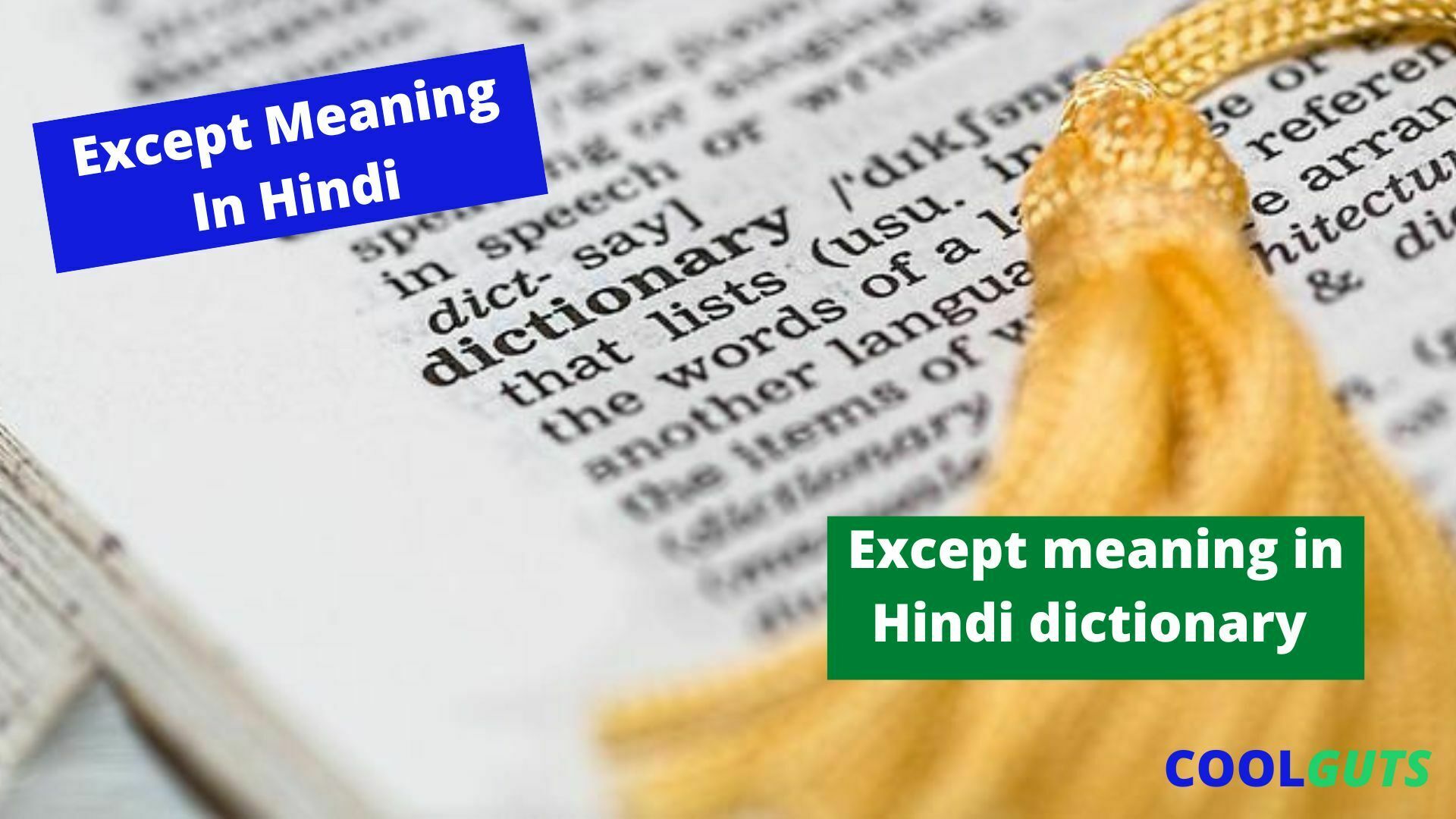 Except Meaning In Hindi Learn With Amazing 6 Examples